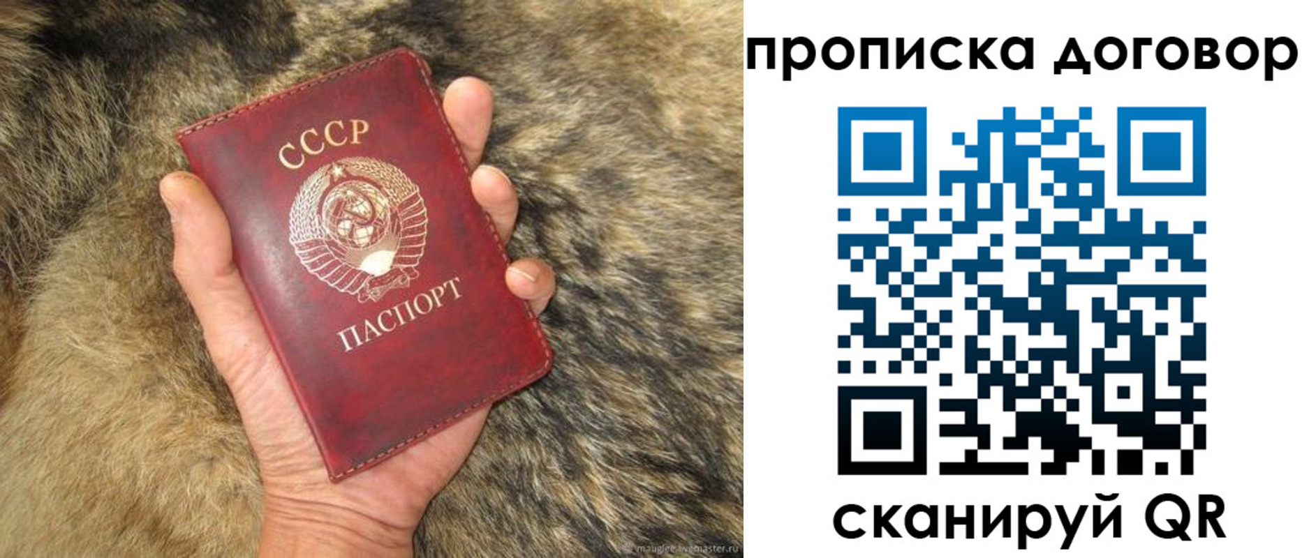 прописка регистрация в Ясном